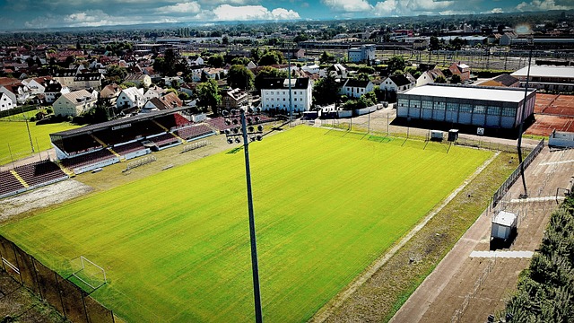 弗里克的 弗里克的