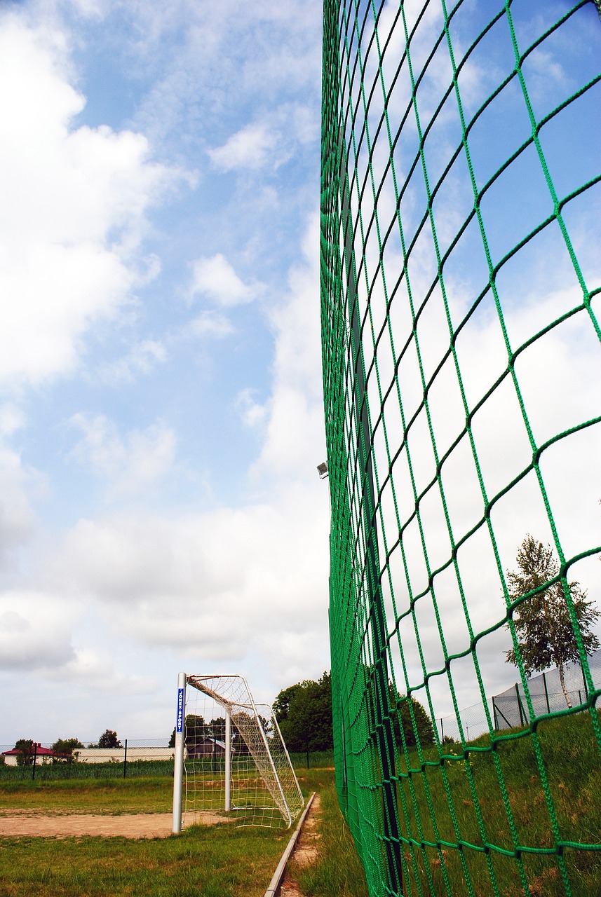 探讨这场比 探讨这场比