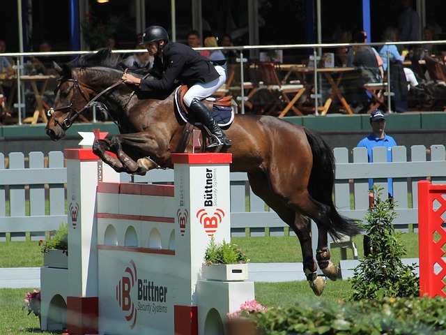 得了不错的 得了不错的