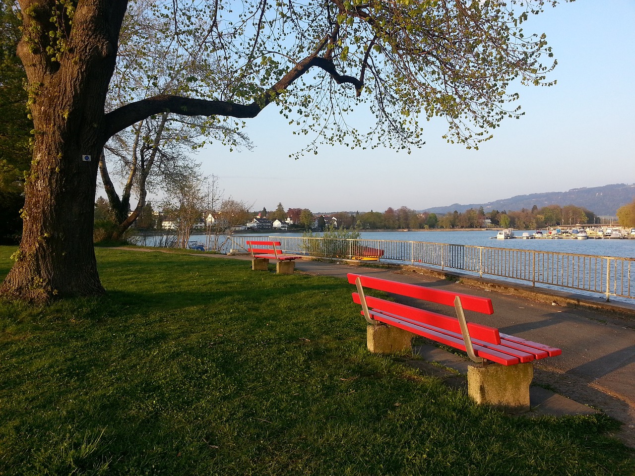 拉什福德逐 拉什福德逐