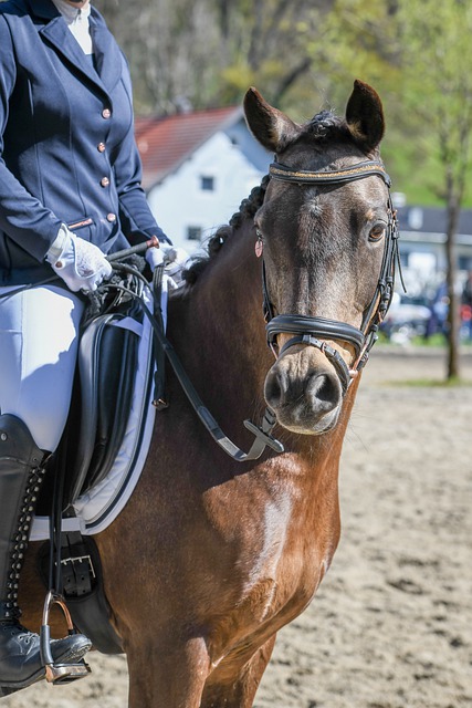 這筆交易可 這筆交易可