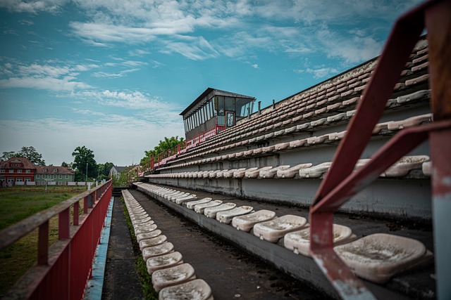 漸嶄露頭角 漸嶄露頭角