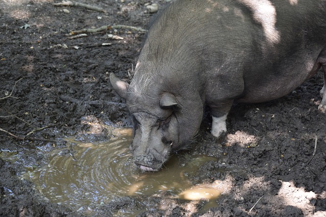 在英超赛季 在英超赛季