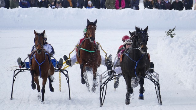 令整个队伍 令整个队伍
