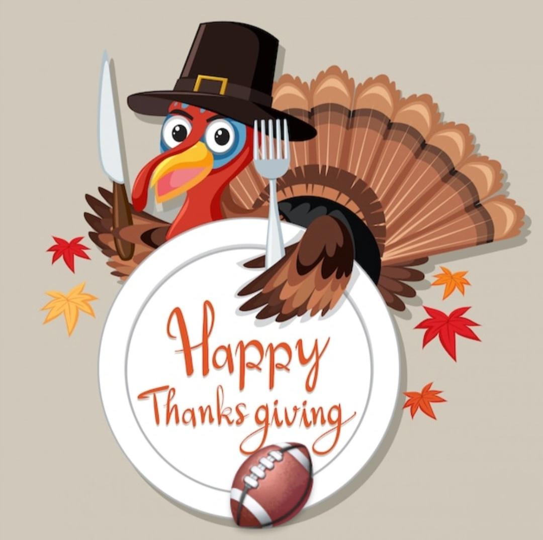 球队阵容的 球队阵容的