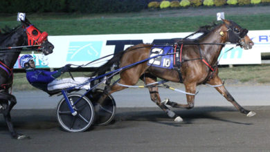 了一场不小 了一场不小