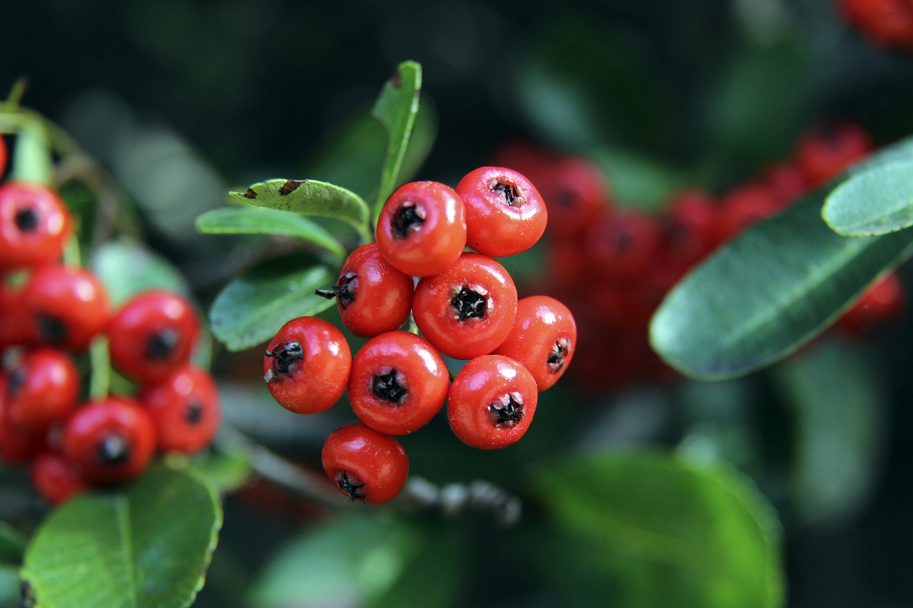 未能抓住机 未能抓住机