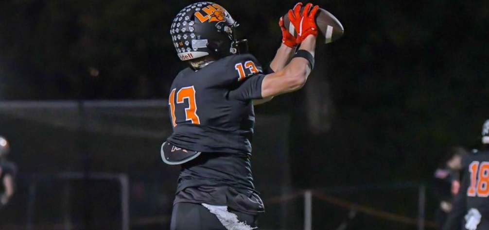 培养理念 培养理念