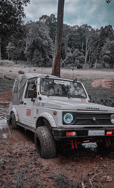 力崛起的一 力崛起的一