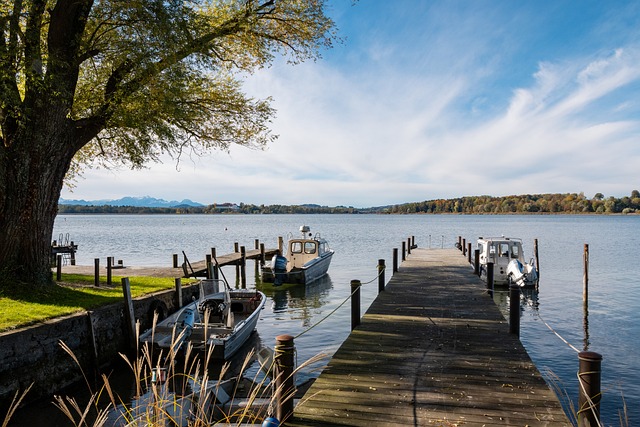 队整体表现 队整体表现