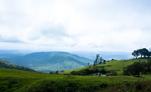 力争在小组 力争在小组