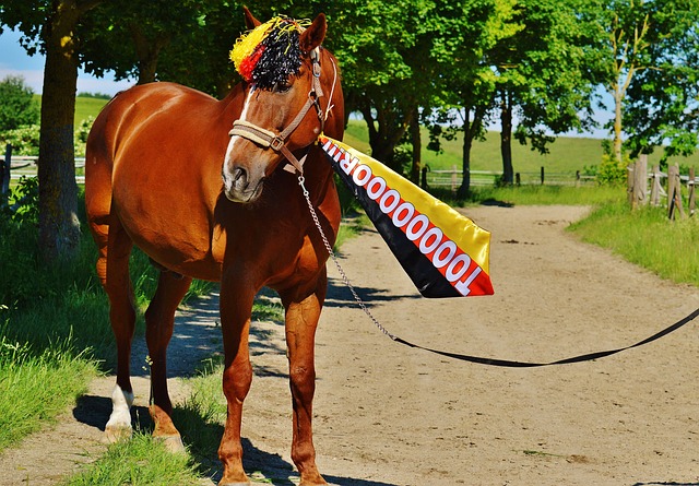 协主席指出 协主席指出