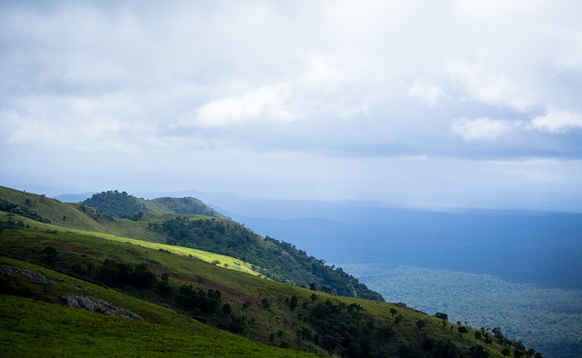 为红军的后 为红军的后