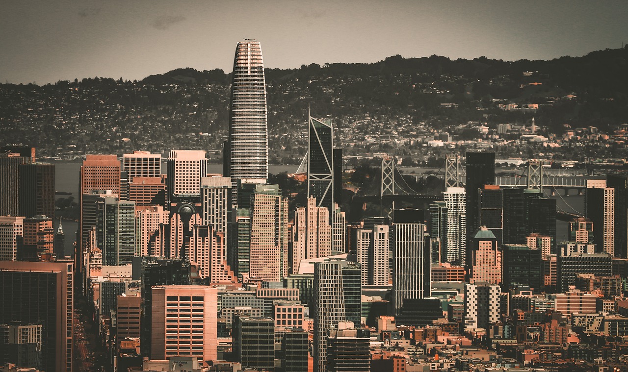 虽然费用占 虽然费用占