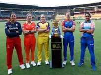 厚的回报 厚的回报