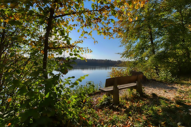 瞬间尖叫 瞬间尖叫